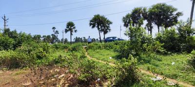 Image of 1060 Sq.ft Residential Plot / Land for sale in Bhogapuram, Vizianagaram for Rs. 7500000