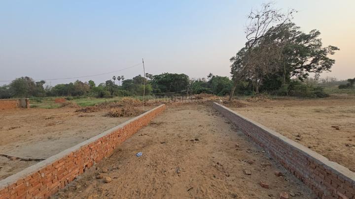 Bihta Main Image 1