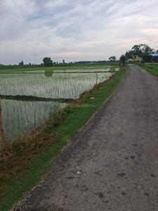 Image of 30240 Sq.ft Residential Plot / Land for sale in Garh Mukteshwar, Hapur for Rs. 64000001
