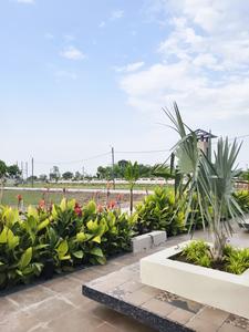 Bada Bangarda Plot View 2