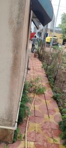 Image of 700 Sq.ft 2 BHK Independent House for sale in Deopur, Dhule for Rs. 4000000