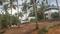 Chenkottukonam Plot View 2