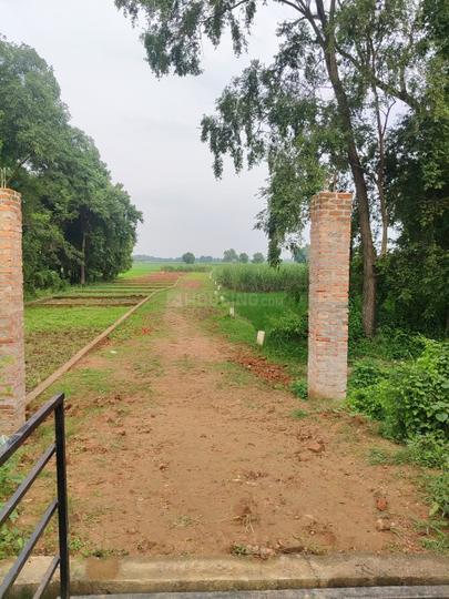Bihta project Main Image 1