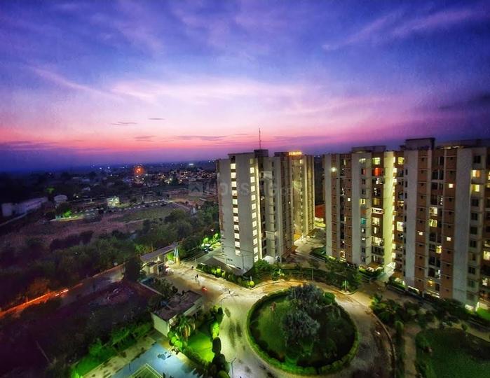 Manghatai Main Image 1