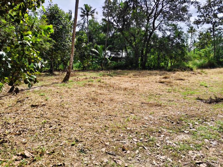 Irinjalakuda Main Image 1