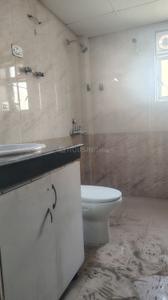 Bathroom Image of 974 Sq.ft 2 BHK Apartment / Flat for sale in Amrapali Verona Heights, Noida Extension Greater Noida for Rs. 7400000