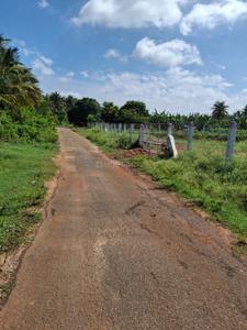 Image of 10018 Sq.ft Residential Plot / Land for sale in Palathurai, Coimbatore for Rs. 6500000