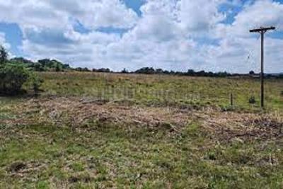 Image of 1188 Sq.ft Residential Plot / Land for sale in ASM Shree Jaswant Garden, Sector 14, Panchkula for Rs. 8976000