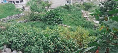 Kotli Plot View 2