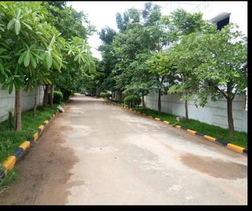 Image of 1400 Sq.ft 3 BHK Apartment / Flat for rent in Suresh Nagar, Kakinada for Rs. 20000