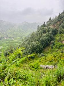 Image of 720 Sq.ft Residential Plot / Land for sale in Mukteshwar, Nainital for Rs. 7250000