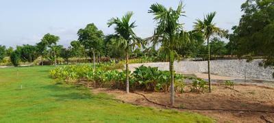 Image of 2400 Sq.ft Residential Plot / Land for sale in Silpa Botanica, Kandukur, Hyderabad for Rs. 9400000