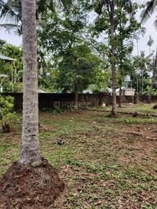 Image of 435 Sq.ft Residential Plot / Land for sale in Kakkanad, Kochi for Rs. 1200000