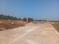 Pacheda 1 Plot View 2