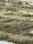 Miwan City Main Image 1