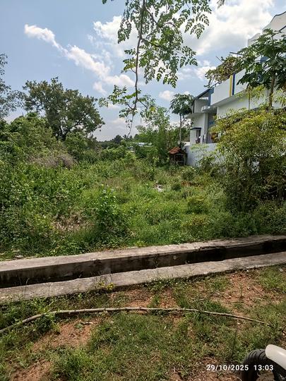 Thindal Main Image 1