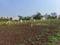 Wagholi Plot View 2