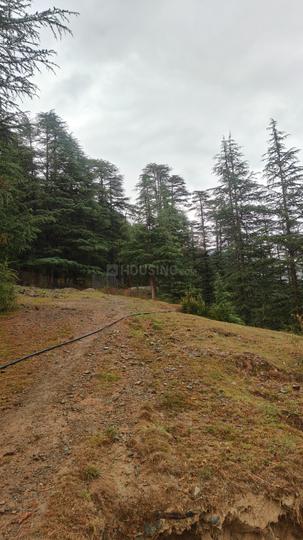 Bhattakufer Main Image 1