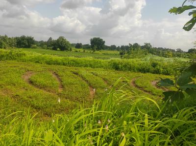Image of 49005 Sq.ft Residential Plot / Land for sale in Murbad, Thane for Rs. 6525000
