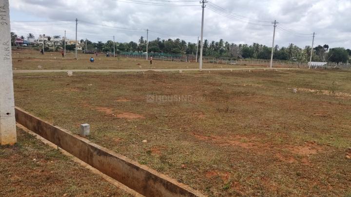 Danagalli Main Image 1