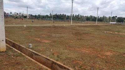 Danagalli Plot View 1