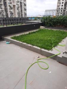 Balcony Image of 650 Sq.ft 1 BHK Apartment / Flat for rent in Godrej Infinity, Mundhwa Pune for Rs. 30000