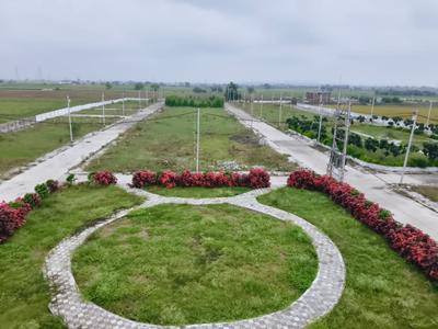 Concrete Dhan Destination Plot View 3