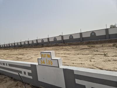 Vrb amber Plot View 2