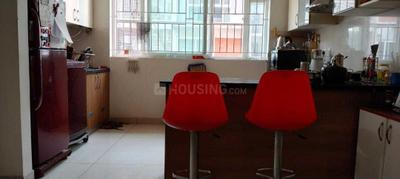 Hall Image of 500 Sq.ft 1 BHK Apartment / Flat for rent in Brigade Woods, Whitefield Bengaluru for Rs. 42000
