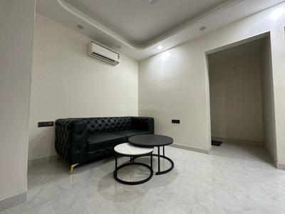Hall Image of 1000 Sq.ft 2 BHK Apartment / Flat for rent in Saket New Delhi for Rs. 29000
