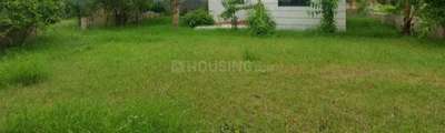 4650 Sq.ft Residential Plot / Land for Sale in Vadsar, Vadodara