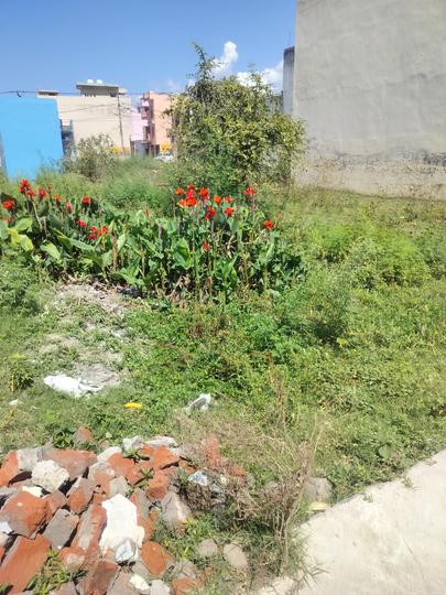 Kankhal Main Image 1