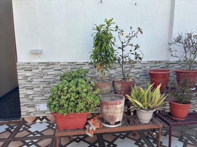 Balcony Image of 400 Sq.ft 1 RK Independent House for rent in Sector 20 Noida for Rs. 16000