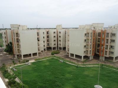 3 BHK Flat