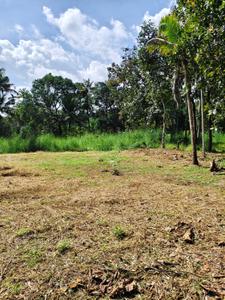 Image of 13050 Sq.ft Residential Plot / Land for sale in Irinjalakuda, Thrissur for Rs. 3000000