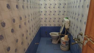 Image of 1200 Sq.ft 3 BHK Apartment / Flat for rent in Nehru Nagar, Bilaspur for Rs. 20000