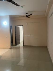 Hall Image of 800 Sq.ft 2 BHK Apartment / Flat for rent in Amrapali Dream Valley 2, Noida Extension Greater Noida for Rs. 18500