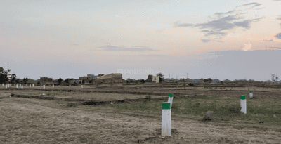 Chirora Plot View 2