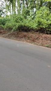 Image of 1356 Sq.ft Residential Plot / Land for sale in Pilerne, Goa for Rs. 81300000