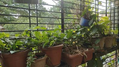 Bedroom Image of 1100 Sq.ft 2 BHK Apartment / Flat for sale in Vidya Nagar Hubli for Rs. 8200000