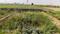 RLS Society Plot View 2