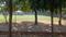 Gulmohar Estate, Eta I Plot View 2
