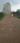 SAY ASSOCIATE Plot View 2