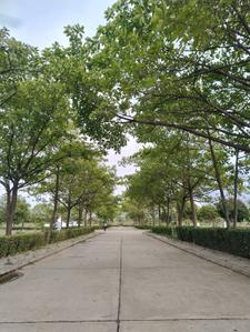 Image of 2000 Sq.ft Residential Plot / Land for sale in Khopoli, Navi Mumbai for Rs. 8500000