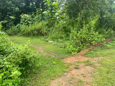 Image of 1200 Sq.ft Residential Plot / Land for sale in Kantabada, Bhubaneswar for Rs. 1800000