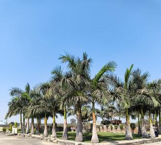 Image of 600 Sq.ft Residential Plot / Land for sale in Abhinav City, Vidhan Sabha Road, Raipur for Rs. 1860000