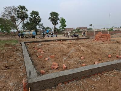 Bela Plot View 3