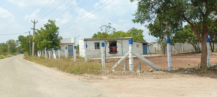 Kalapatti Main Image 1