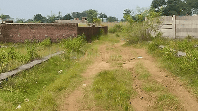 Kutiatu Plot View 3