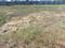 Experion The Westerlies Plots Main Image 1